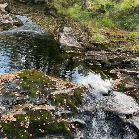 Tradisjonell Norsk I Vakre Rasdalen Feriehus *