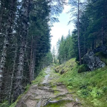Tradisjonell Norsk I Vakre Rasdalen *