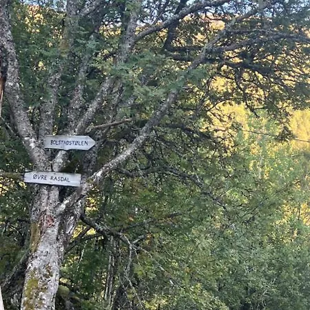 Tradisjonell Norsk I Vakre Rasdalen *