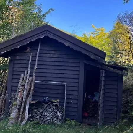 Holiday home Tradisjonell Norsk I Vakre Rasdalen Voss