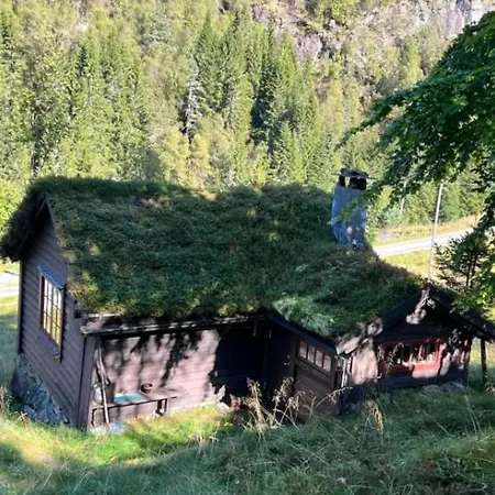 Tradisjonell Norsk I Vakre Rasdalen *