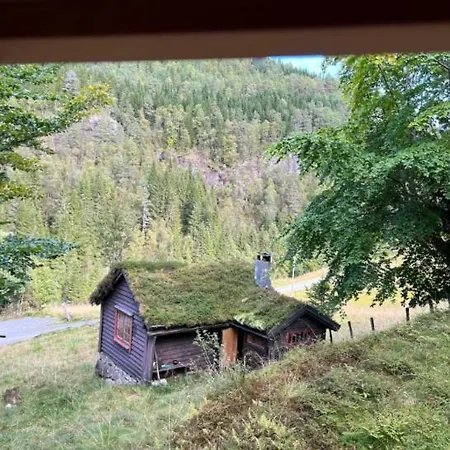 Tradisjonell Norsk I Vakre Rasdalen *