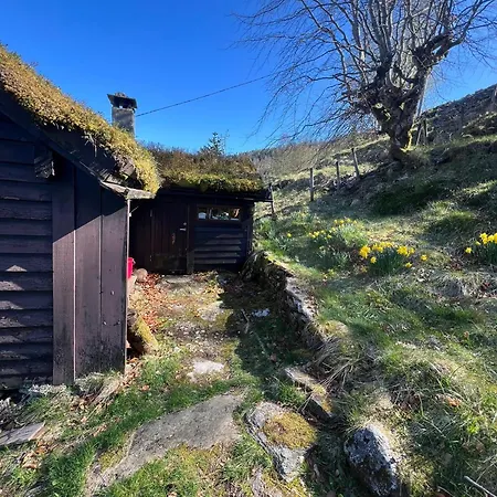Tradisjonell Norsk I Vakre Rasdalen Voss